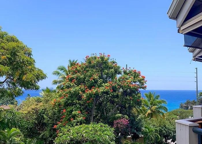 A Little Aloha