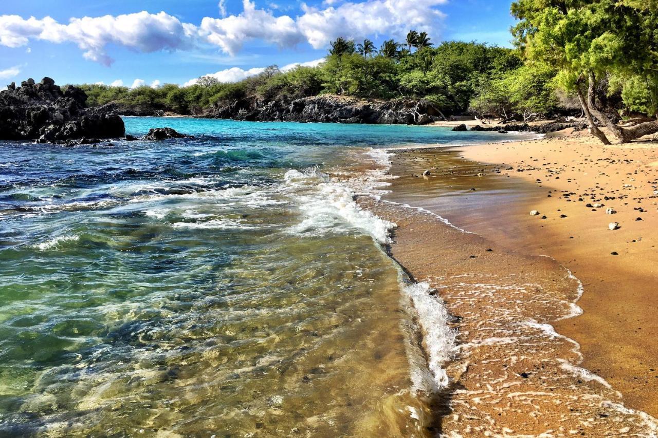 Appartamento A Little Aloha *