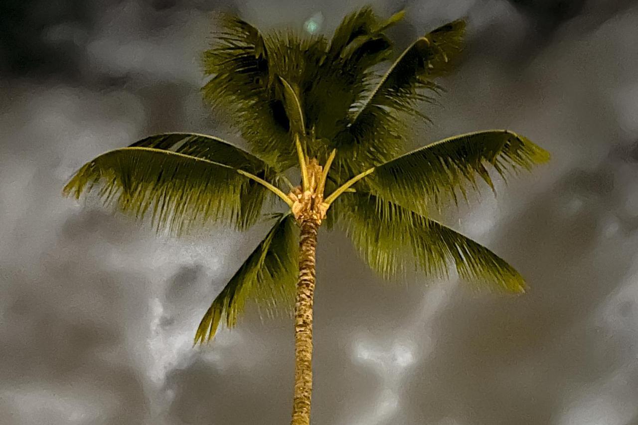A Little Aloha Appartamento Kailua-Kona